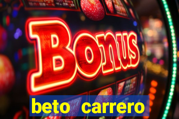 beto carrero cidades proximas
